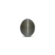 Catseye - 6.65 Carat