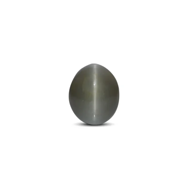 Catseye - 6.65 Carat